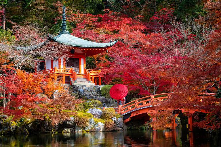 Luxury Solo Travel in Kyoto – Best Hotels In 2024