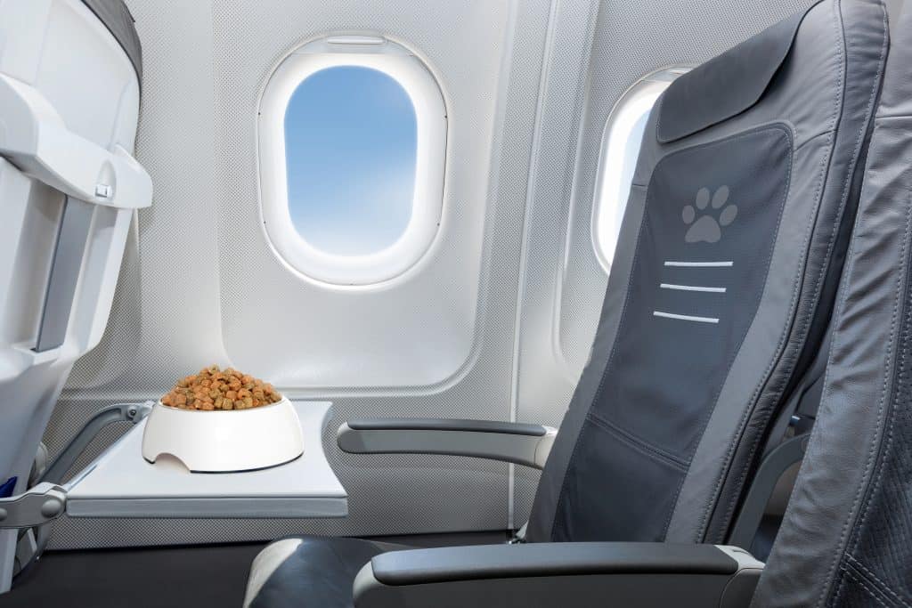 luxury pet travel tips