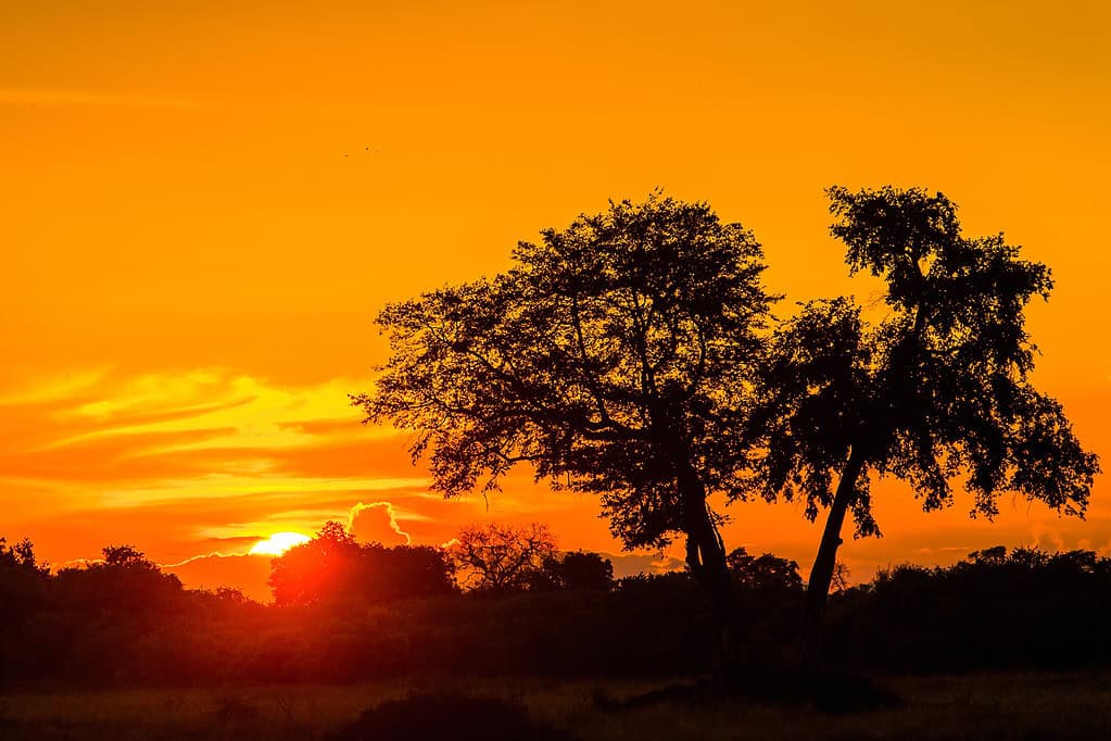sustainable luxury safari lodges