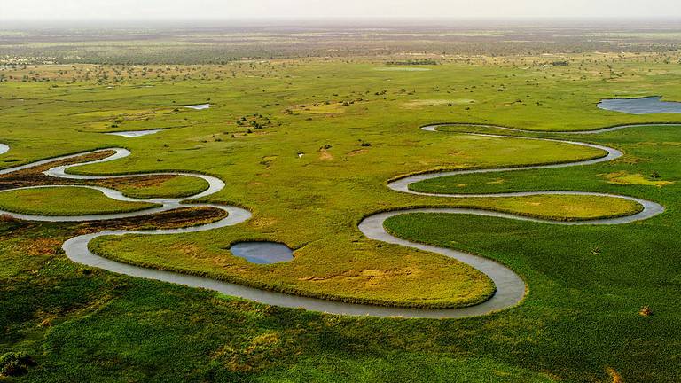 Best Okavango Delta Lodges 2024: 6 Sustainable Luxury Safari escapes in Botswana