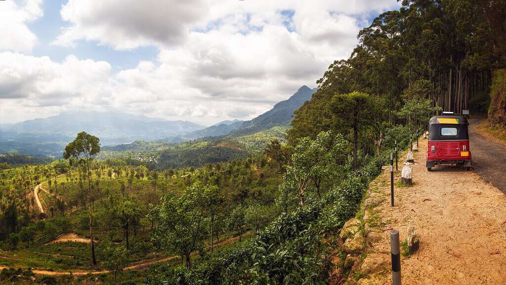 ceylon tea trails