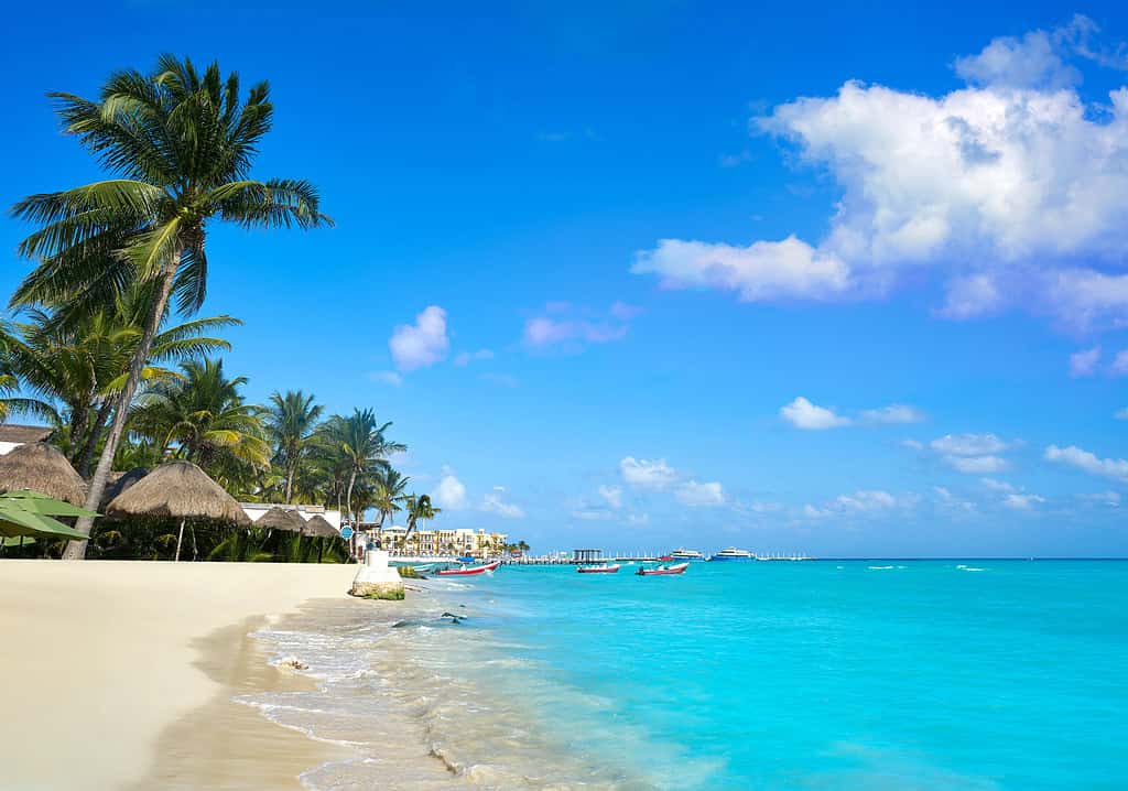 mexico jungle eco-resorts riviera